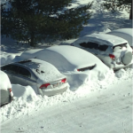 Snow! Snow!