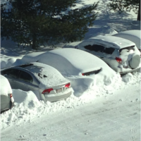 Snow! Snow!