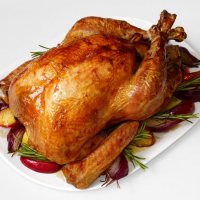 Happy thanksgiving! Happy thanksgiving!