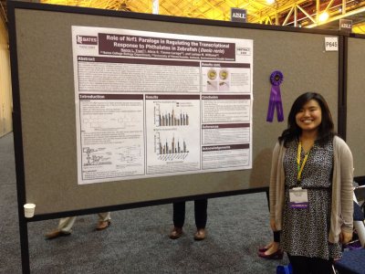 Nancy with her poster at the 2016 SOT meeting