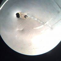 This week has been super busy in the Williams Lab! This week has been super busy in the Williams Lab!