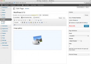 WordPress version 3.7.3