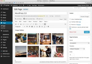 WordPress version 3.9