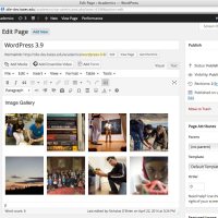 WordPress Upgrade: Version 3.9.1 WordPress Upgrade: Version 3.9.1