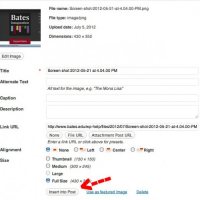 #3 — Back to School (WordPress 101) #3 — Back to School (WordPress 101)
