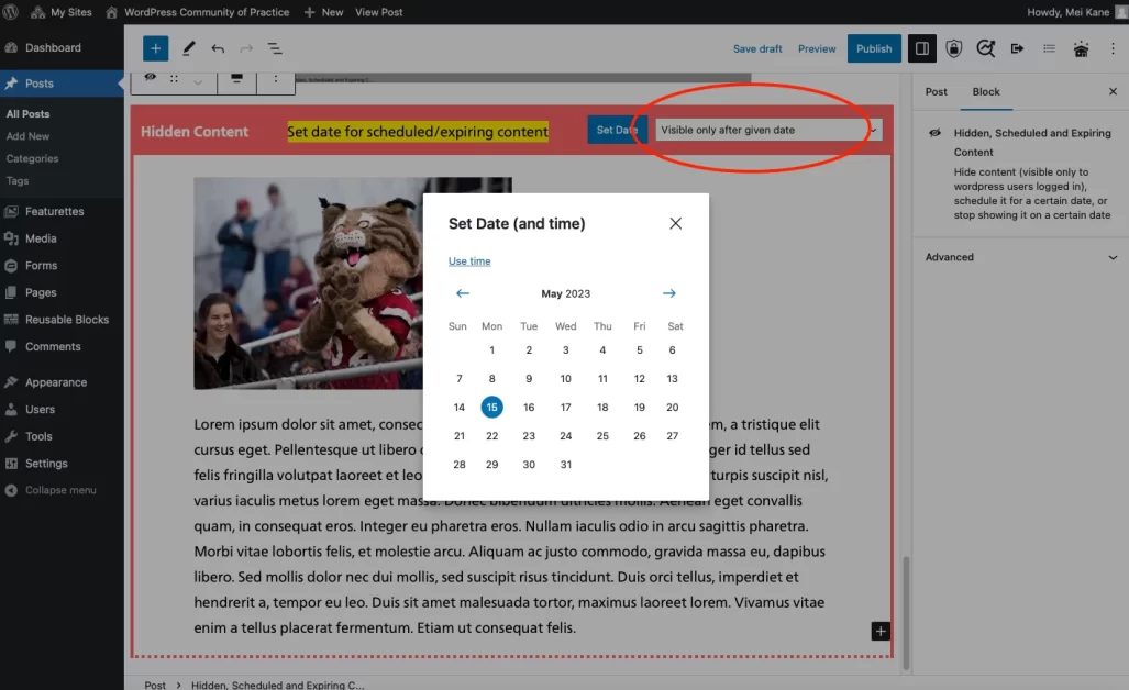 Hidden, Scheduled and Expiring Content Block | WordPress Community of ...