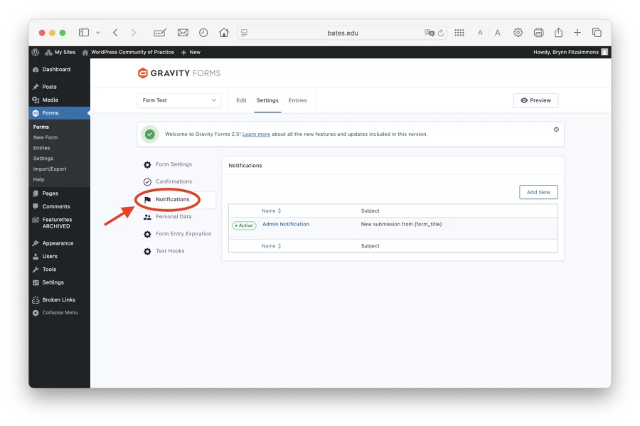 Editing form email notifications screenshot.