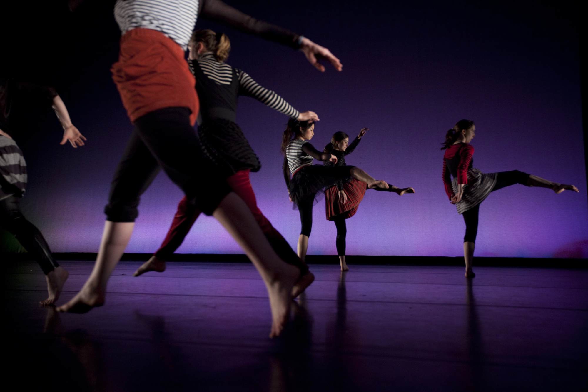 The Dance Major The Dance Major