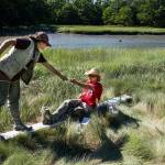 Beach to Marsh Beach to Marsh